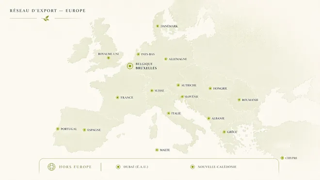Carte des destinations export en Europe